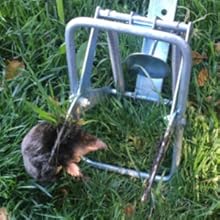 Small manufacture image 4