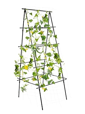  HPC Decor Garden Trellis for Climbing Plants Outdoor