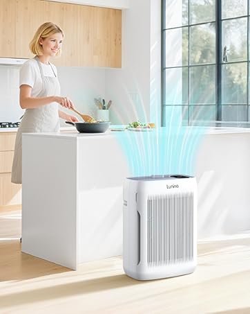 Air Purifiers for kitchen