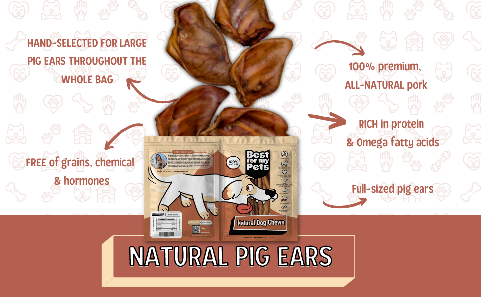 Best For My Pets Pig Ears for Dogs (Whole, 100Count Bulk