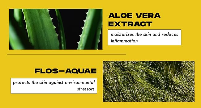 key ingredients daily moisturizer