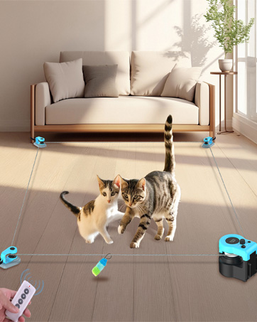 interactive cat toy