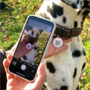 Scan QR Code on pet