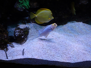 Small manufacture image 1