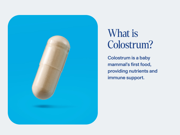 colostrum