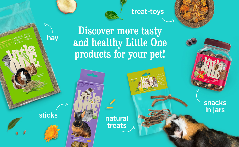 Large manufacture image 4