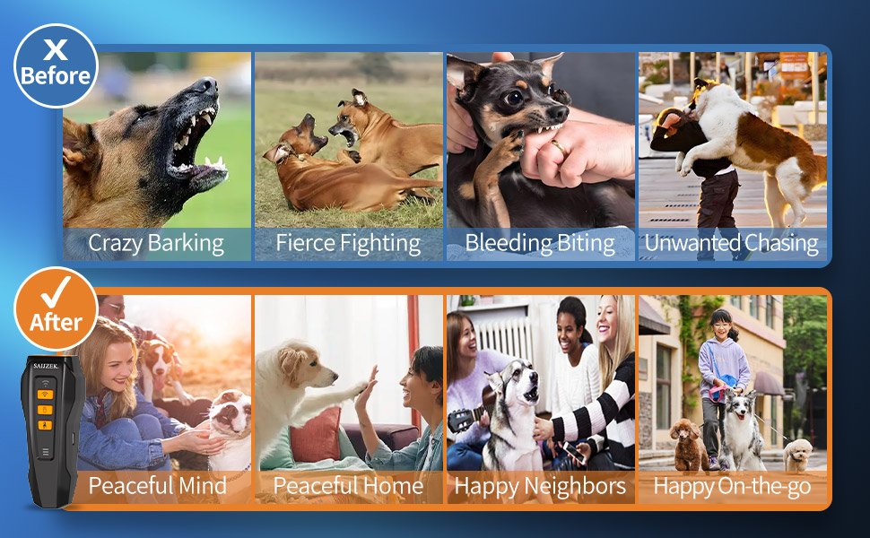 the effect of using the dog training device