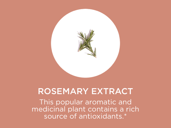 exfoliating vegan face body scrub gentle natural cleanser smooth complexion facial shower hydrating