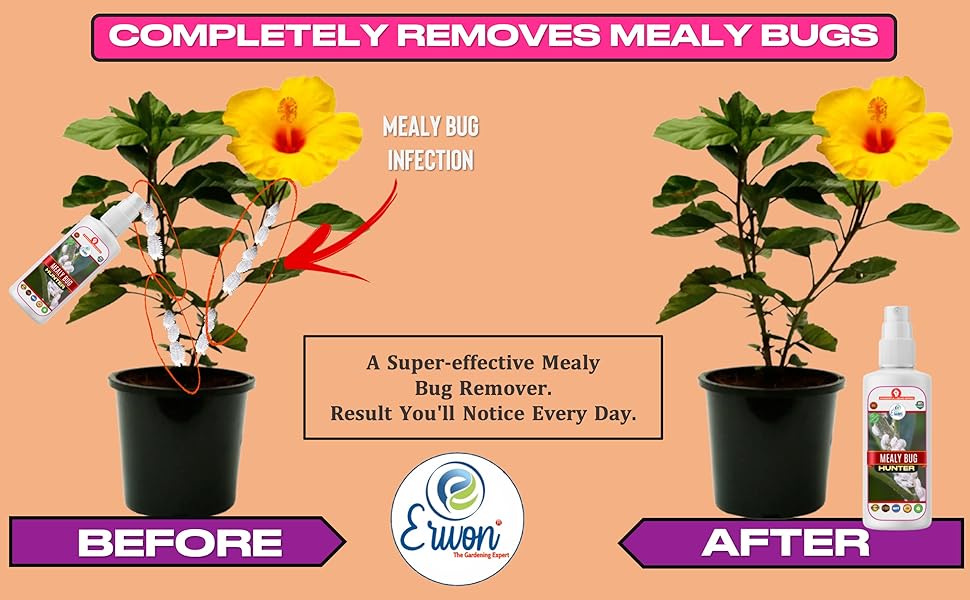 Erwon® Mealy Bug Hunter, Premium Essential Powerful Liquid Spray for