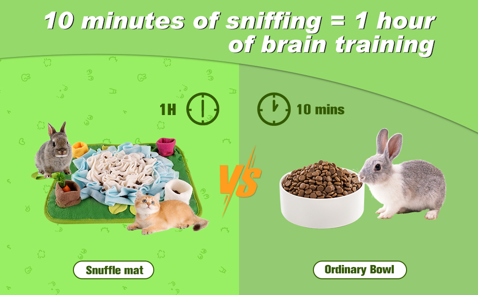 Rabbit Foraging Mat