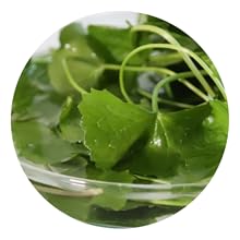 centella asiatica