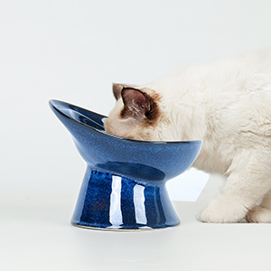 ceramic cat bowl