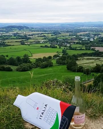 tube diapers garden italy jetbag sugar free wineskin accesories delivery winebag traveler shippers