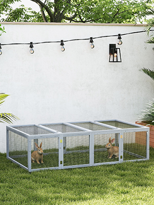 Modernes Gewächshaus oder Gartenkonstruktion mit weißem Rahmen, Glasscheiben und darüber montierten Lichterketten, eingebettet in eine Gartenumgebung im Freien.