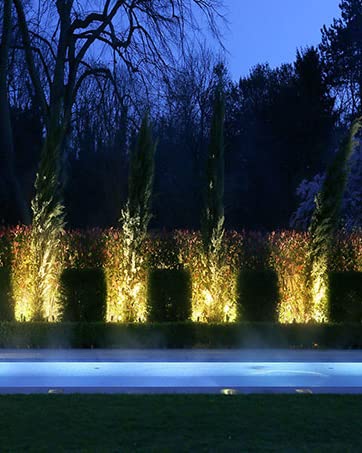 garden light for tree