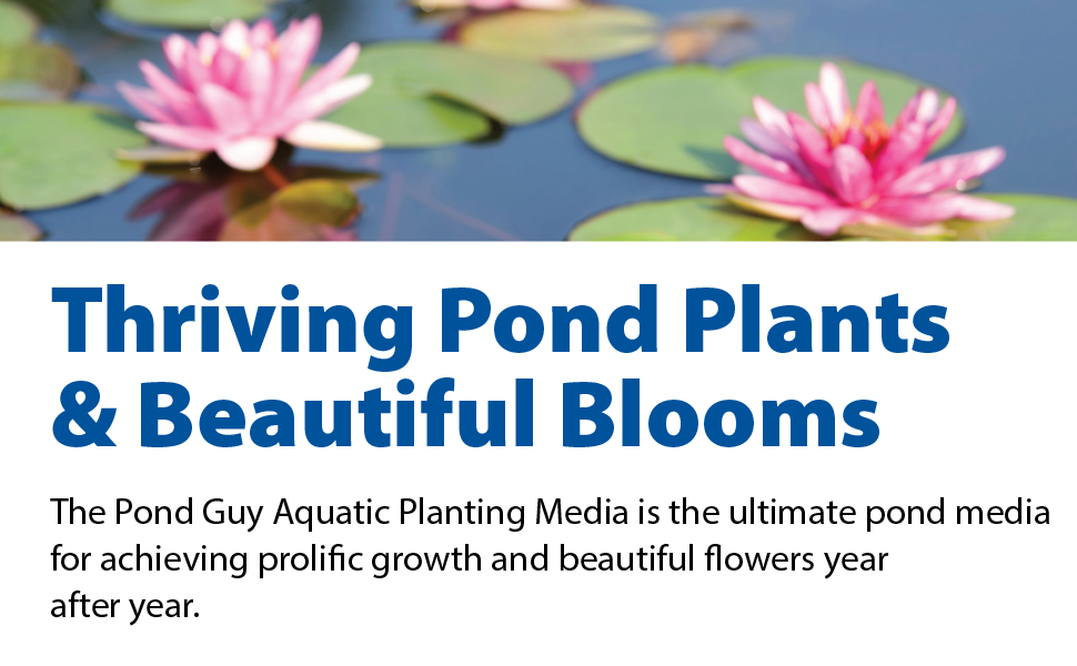 Barley Extract Top Banner