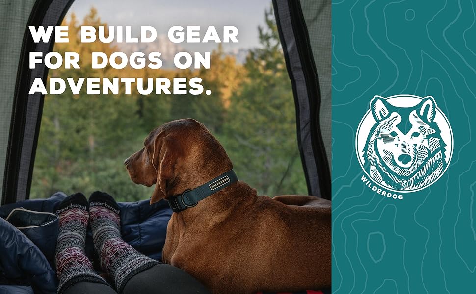 we build gear for dogs on adventures