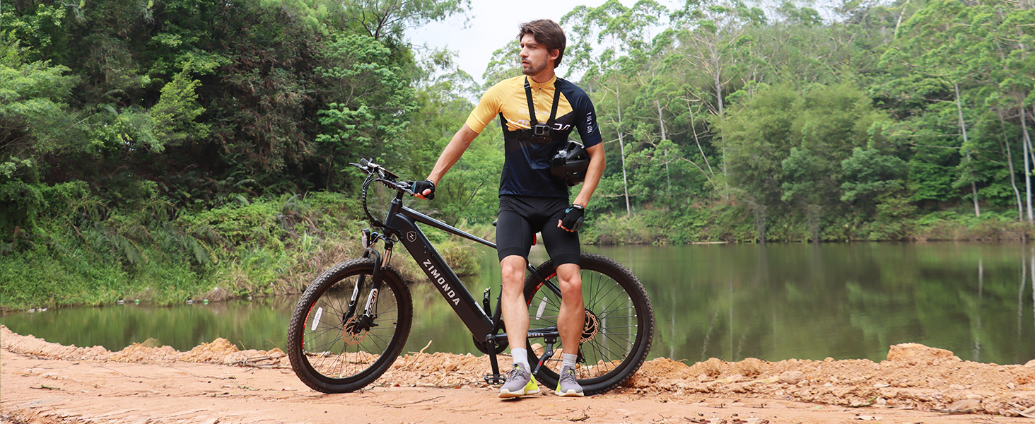ebikes