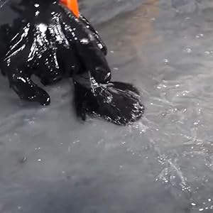 Small manufacture image 3