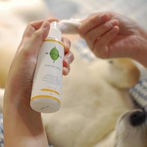 オーラルケア J＆C オーラルケア スプレー 30ml 犬 デンタルケア 歯磨き 液体