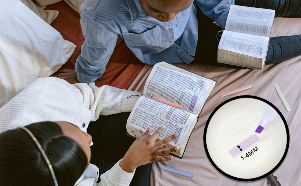 Drawdart Aesthetic Highlighters, 12 Pcs Chisel Tip, Bible