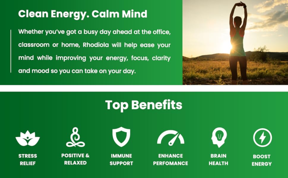 rhodiola rosea supplement