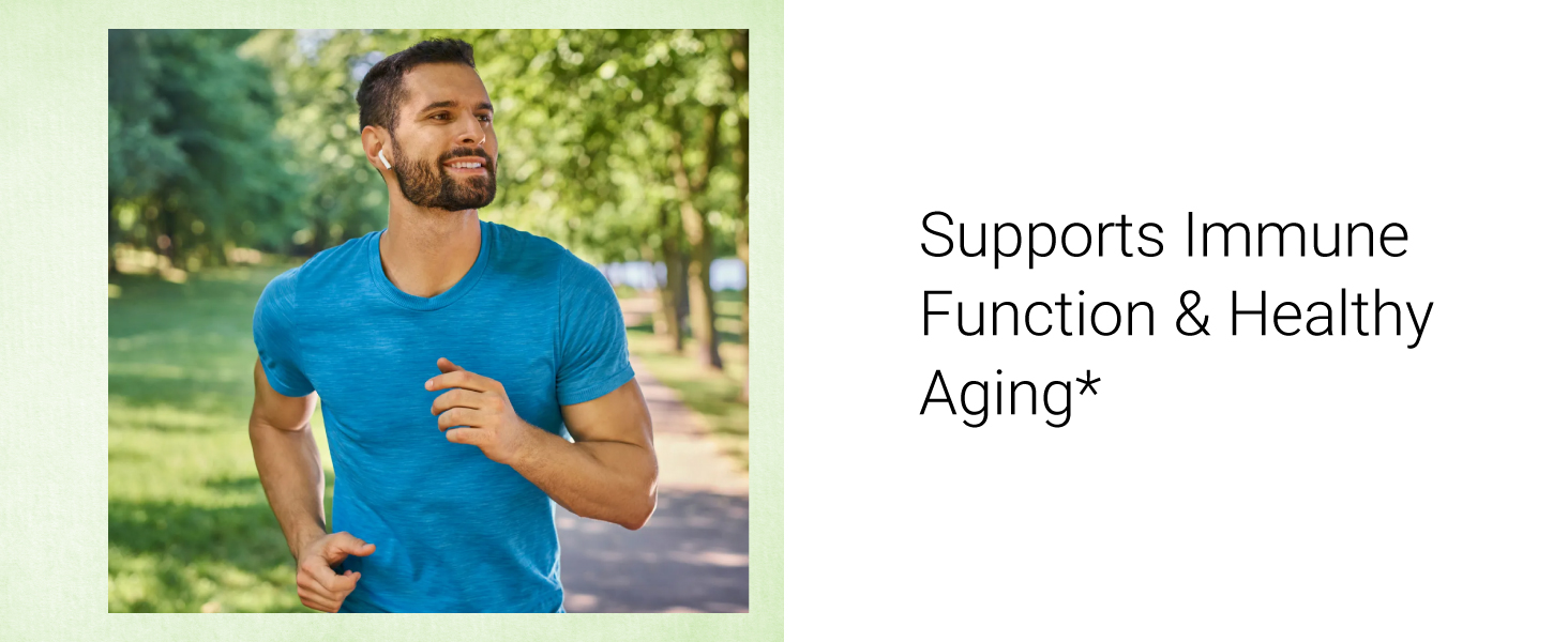 moringa the miracle tree supports immune function & healthy aging