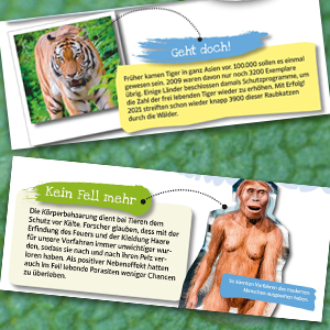 spannende Fakten, Nachschlagewerk, superschlau, Alltagswissen, Kinderwissen, Kindersachbuch, Wissen