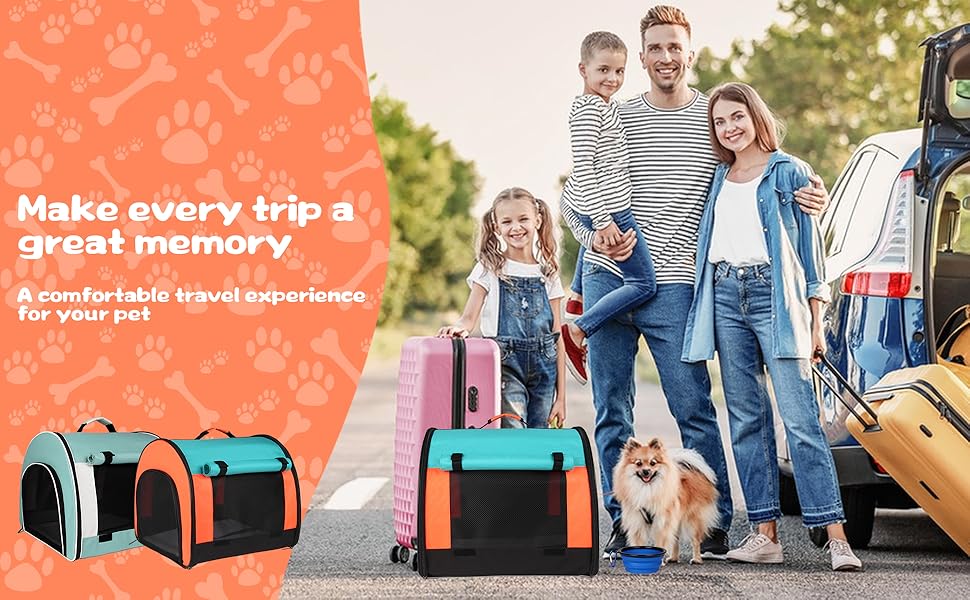Pet travel carrier for dogs cats