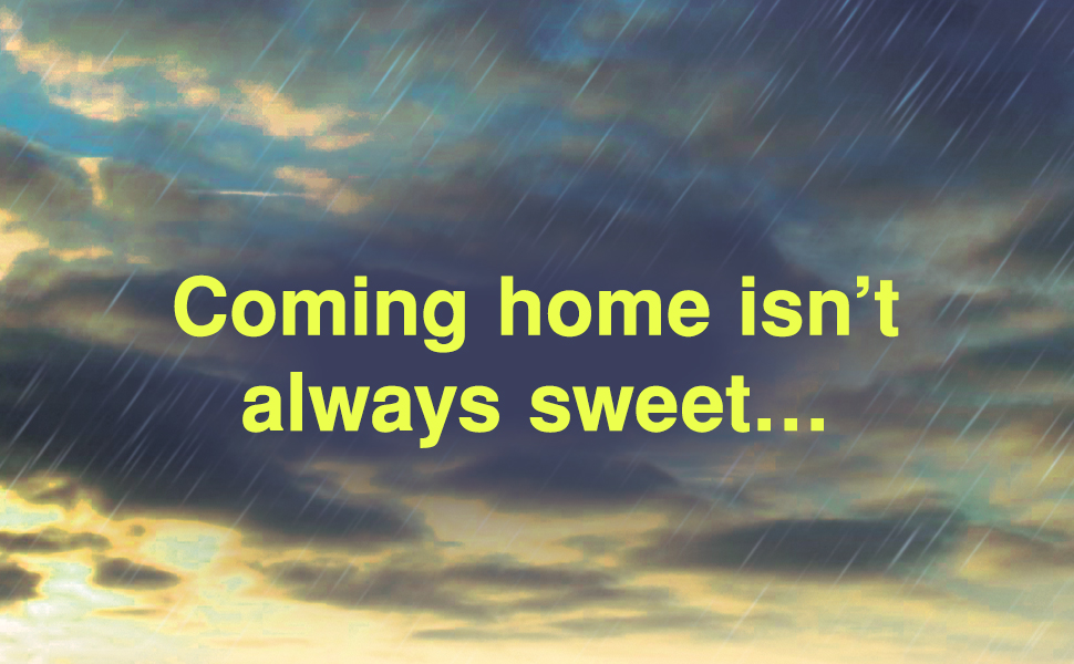 FICTION, Mystery & Detective, International Mystery & Crime