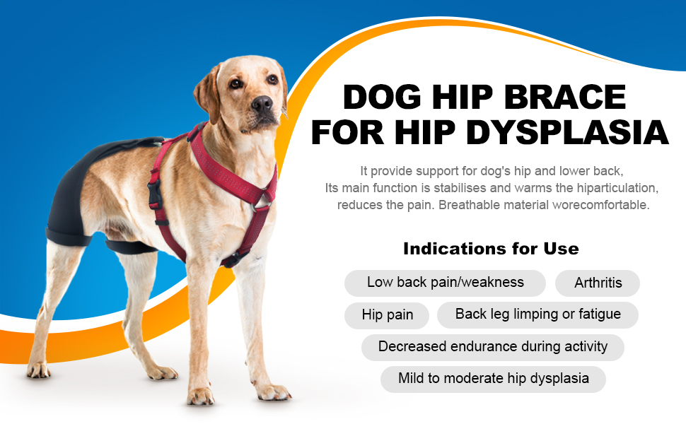 CHAMIN/RISURRY Hip Brace for Dogs, Hip Dysplasia Dog