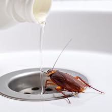 Small manufacture image 8