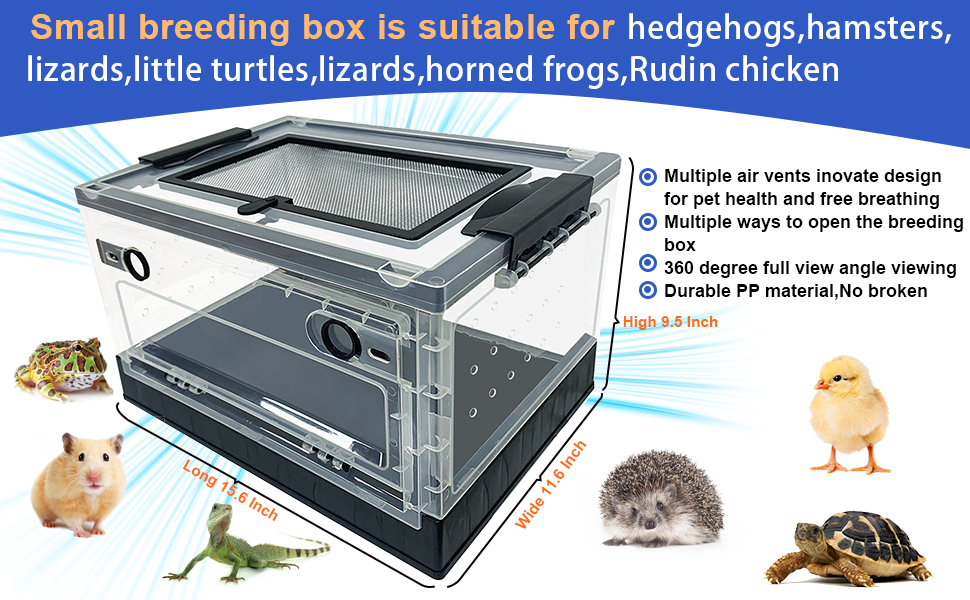 lizards cage house box