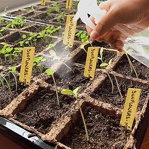 seed starter trays