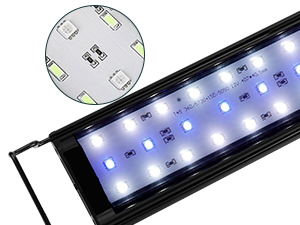 Aquarium Light