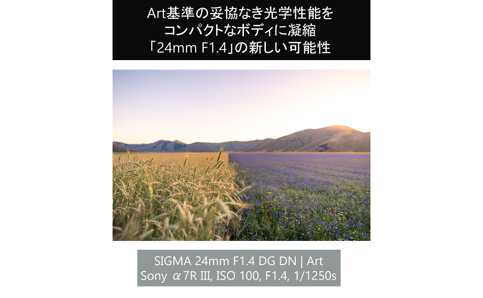 Amazon.co.jp: シグマ (SIGMA) 24mm F1.4 DG DN (A) ソニーE