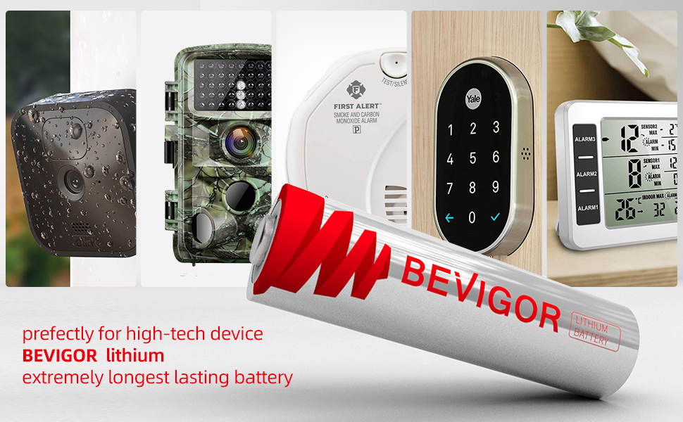 bevigor lithium aa batteries