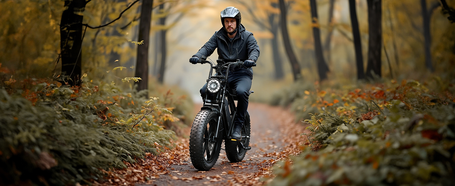 electric bike