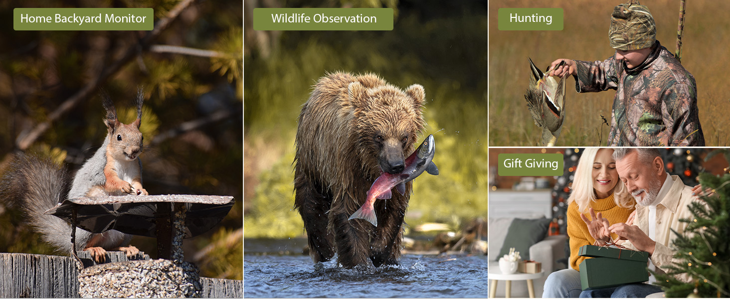 Collage of humorous animal photos: squirrel with laptop, bear catching fish, raccoon in trash, monkey with cellphone. Captions suggest tech-savvy wildlife behavior.