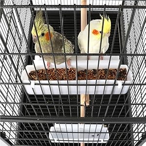 Zwei Vögel sitzen in einem Käfig mit Essen.