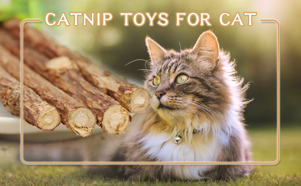 Catnip Toys