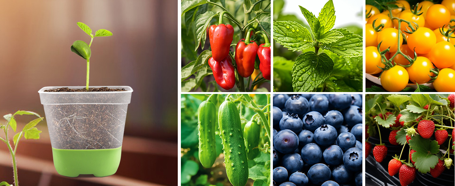 Ideal for growing peppers, mint, tomatoes, cucumbers, blueberries, strawberries and more.