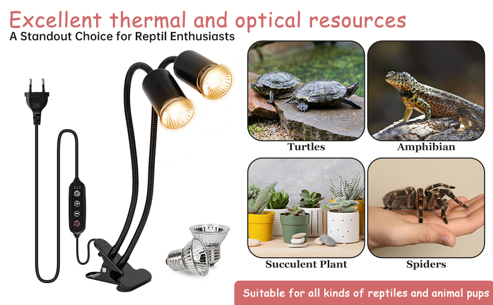 heat lamp for reptiles