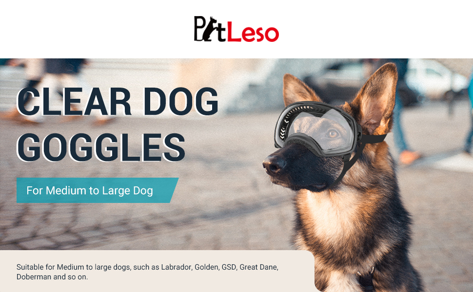 Clear dog goggles