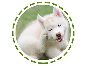 probiotics for dogs for allergies and itchy skin