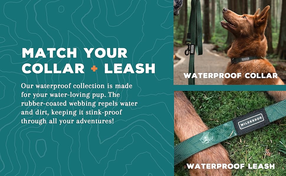 match your collar with a waterproof leash