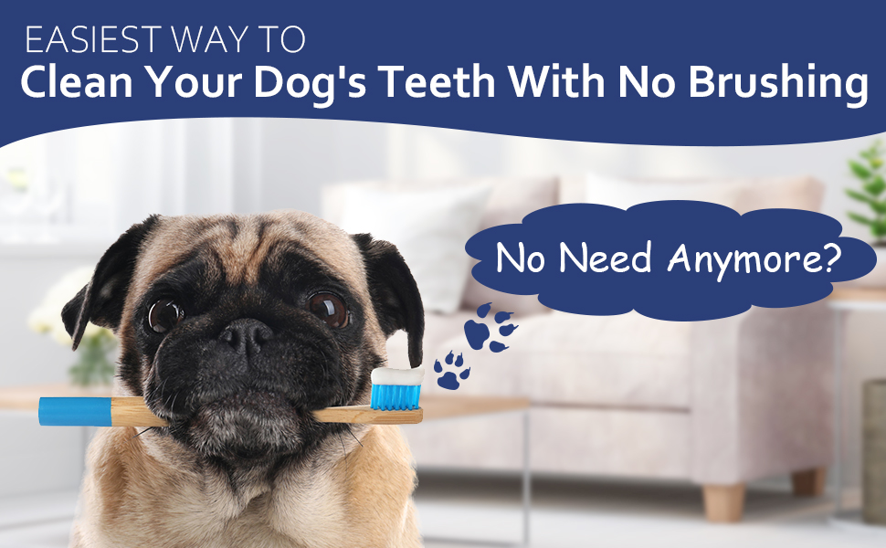 dog tooth brushing kit oravet dental chews for dogs 10-24 dog tooth paste pet pasta