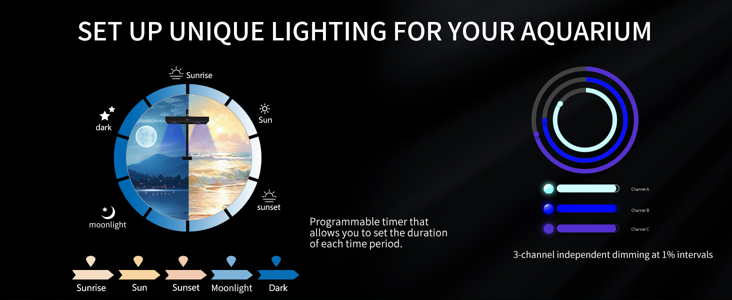 saltwater light