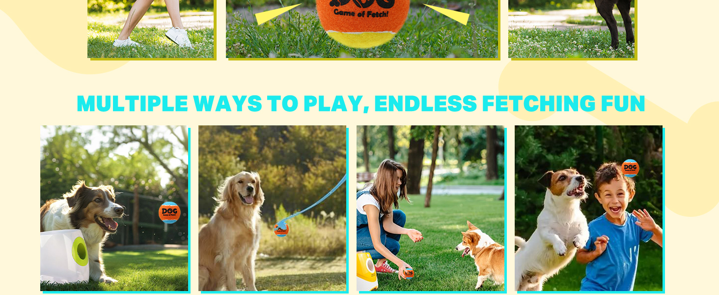 small squeaky balls for dogs