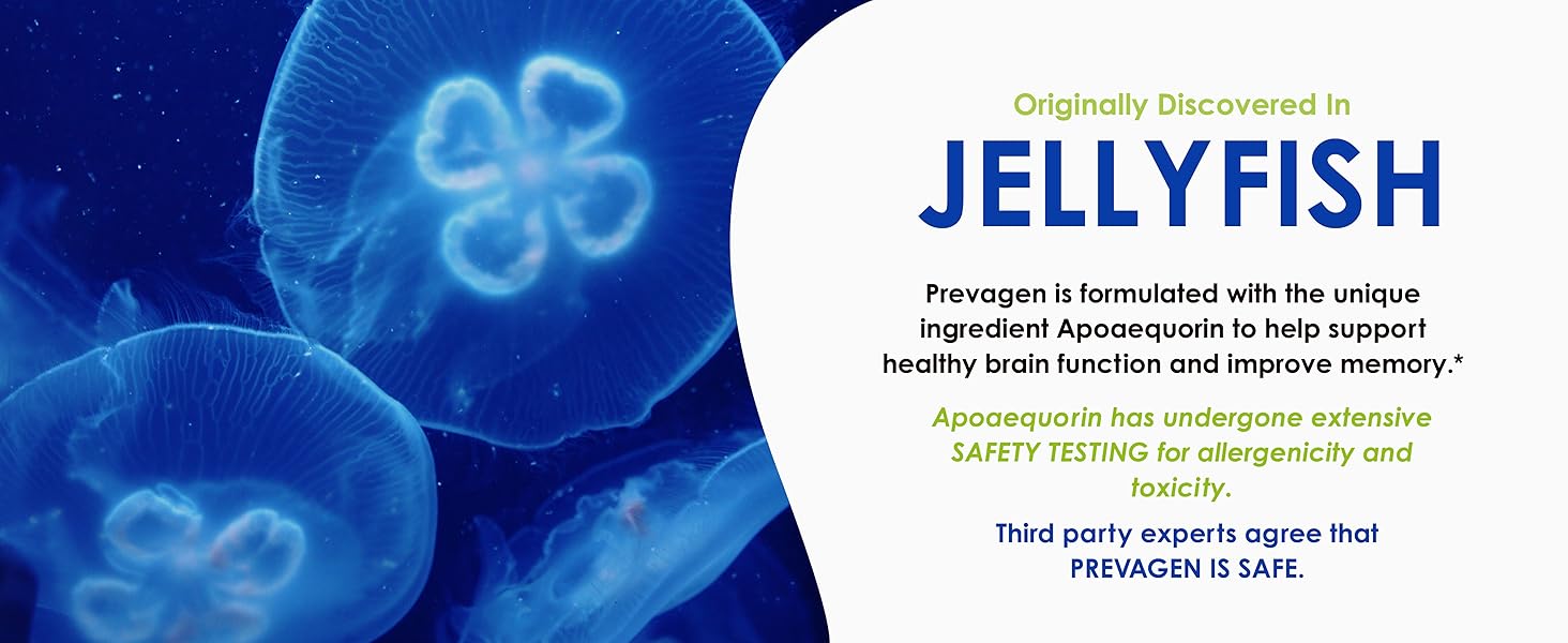 Discovered in jellyfish apoaequorin is safe supports healthy brain function improves memory*